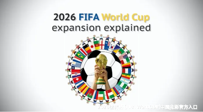 FIFA 中国平台介绍